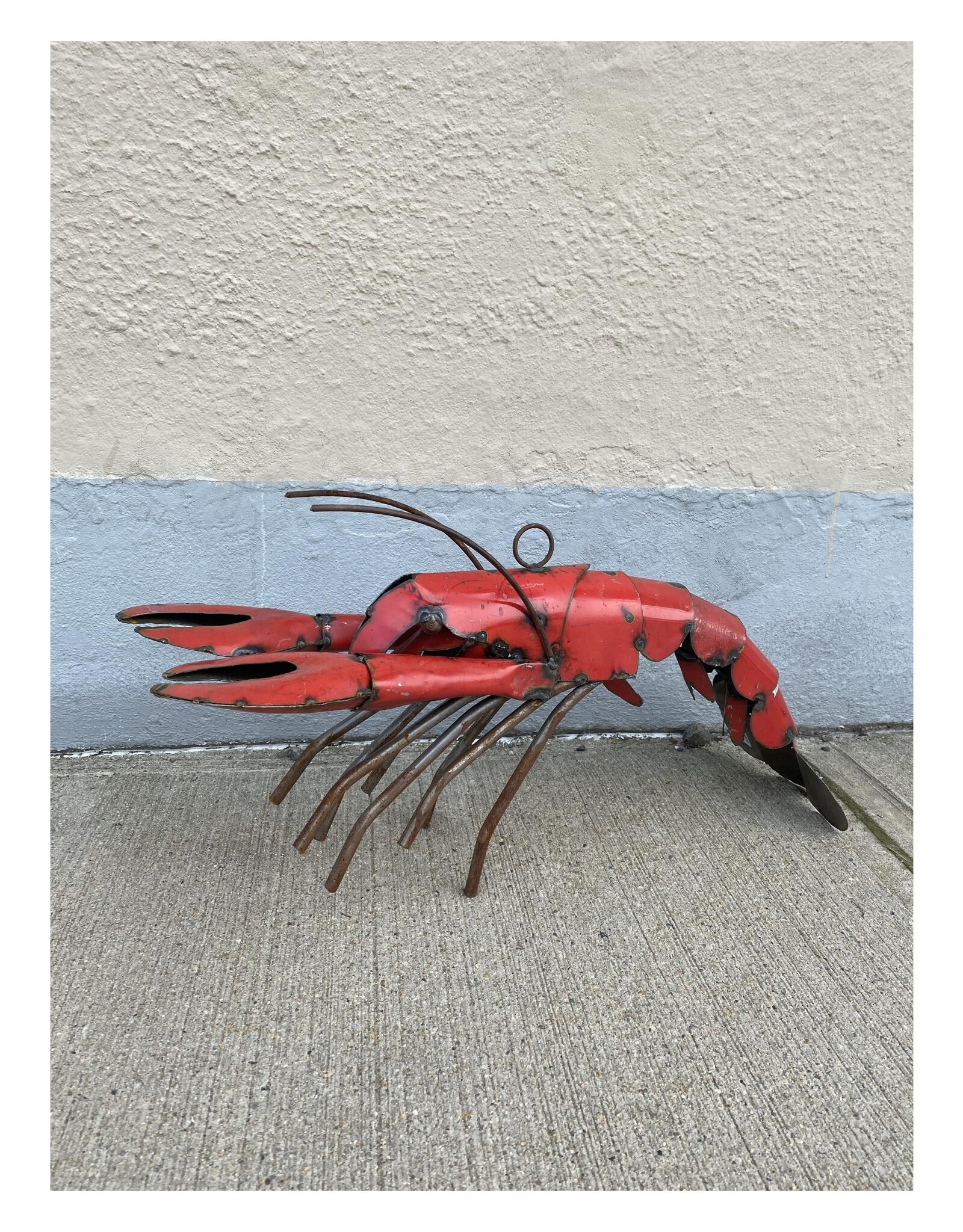 Lobster - Small - Curbside pickup only!