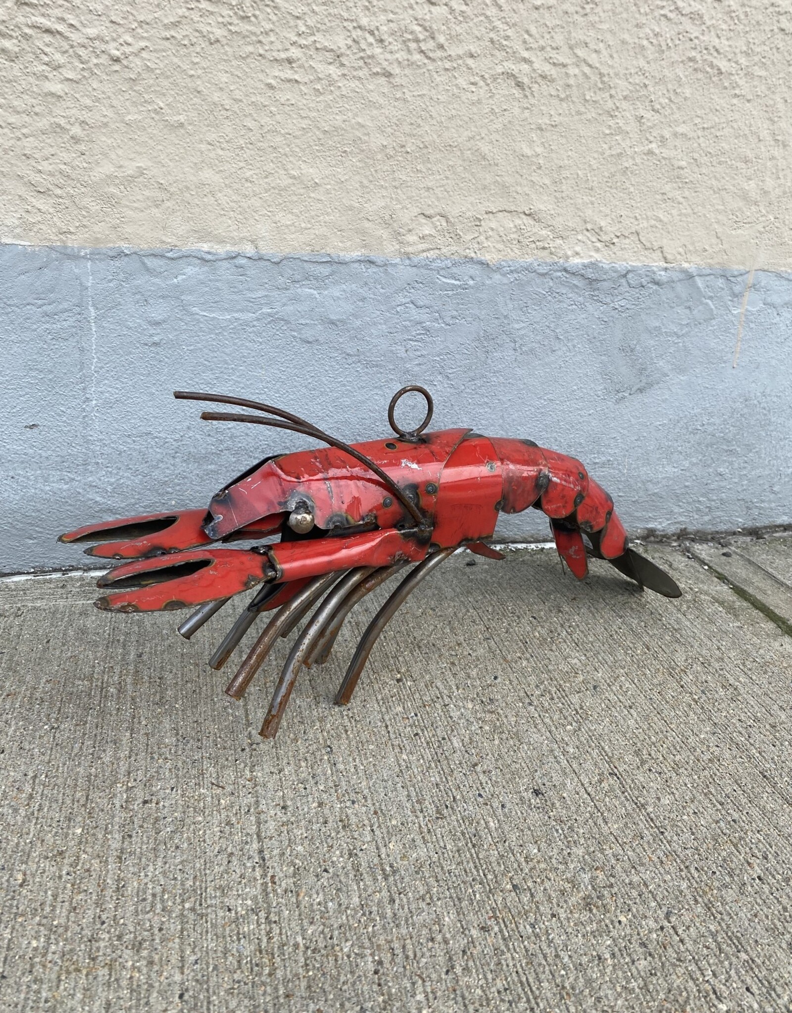 Lobster-  Extra Small - Curbside pickup only!