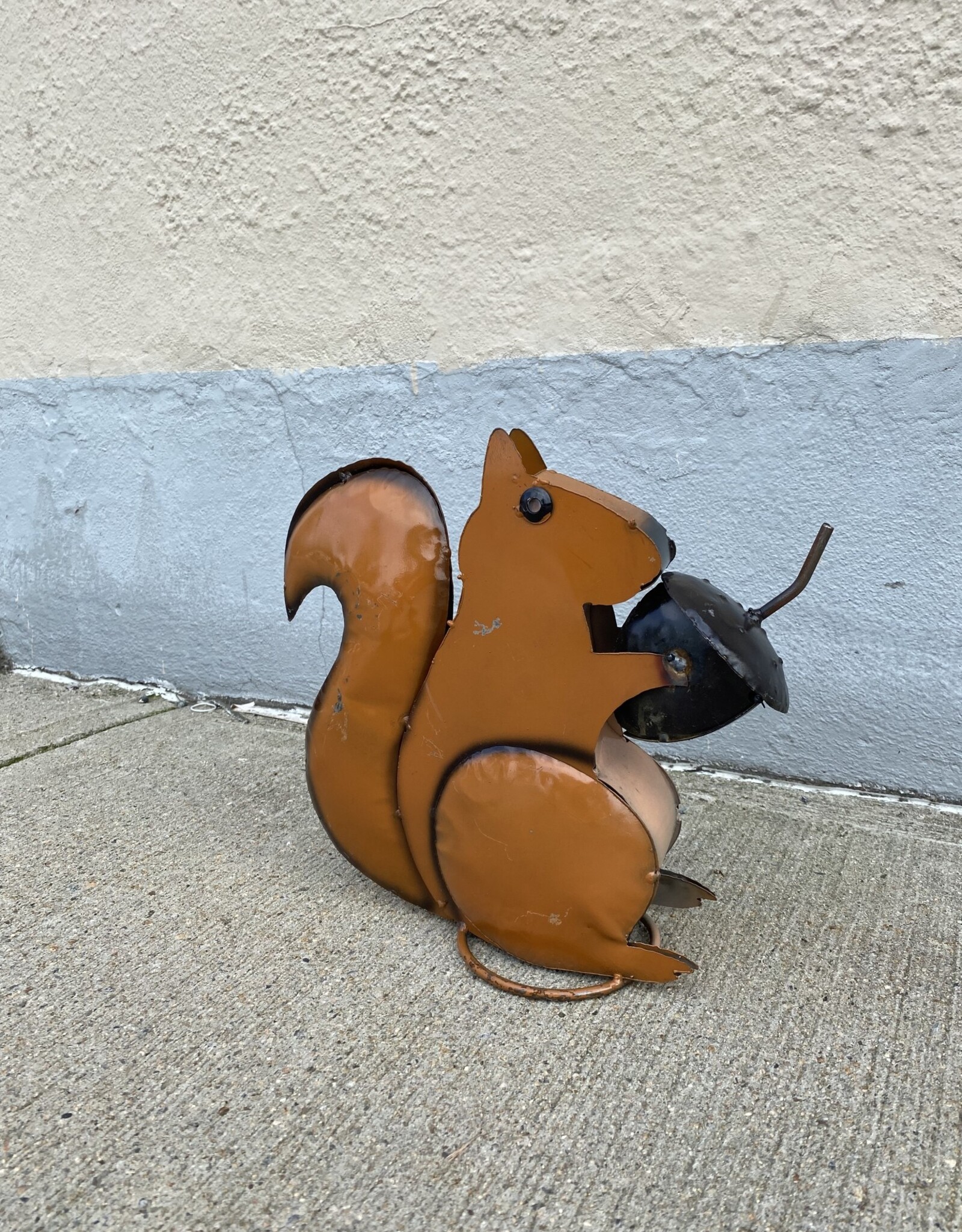 Nutty Squirrel - Curbside pickup only!