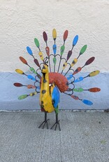 Peacock - Large - Curbside Pick Up Only!