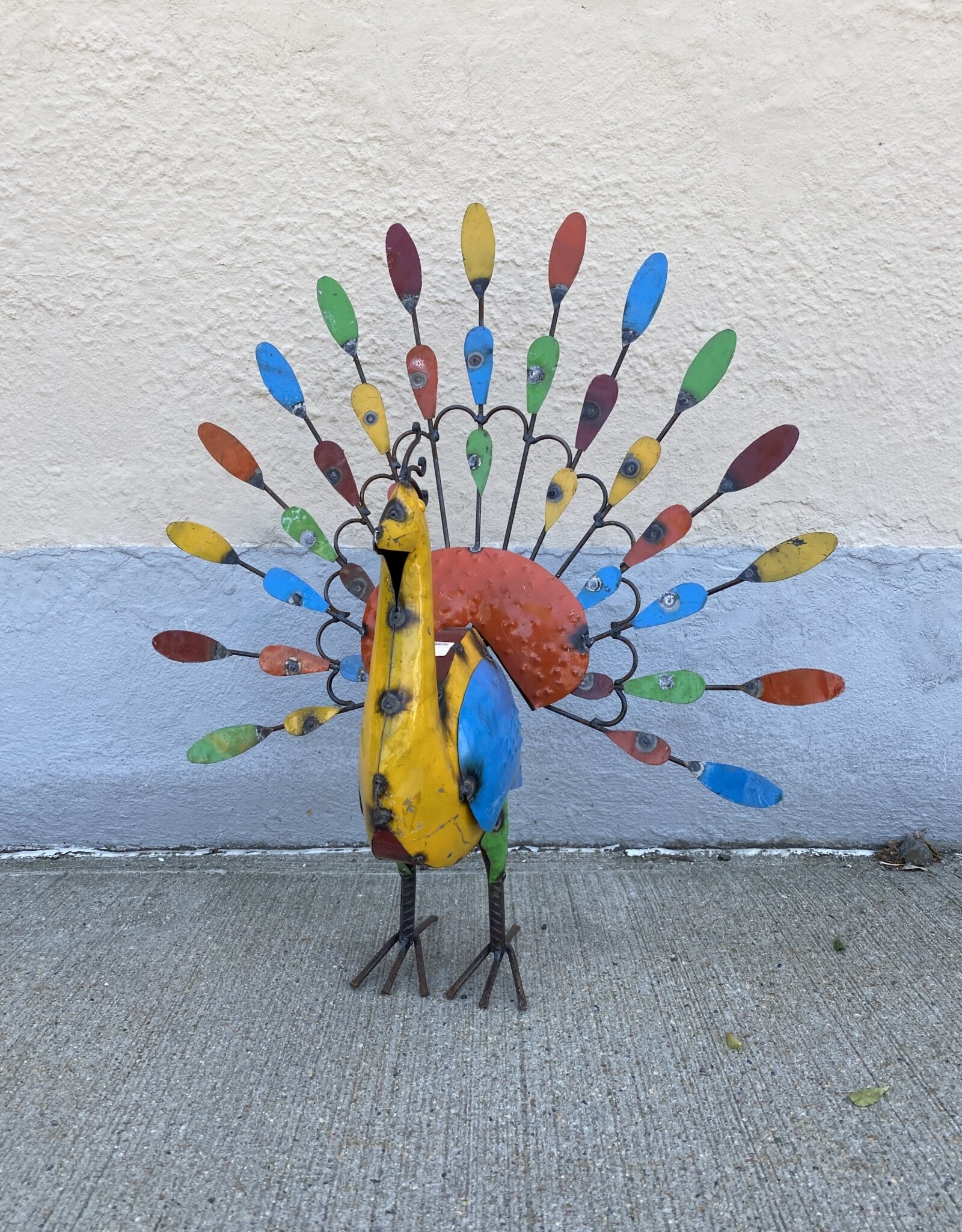 Peacock - Large - Curbside Pick Up Only!