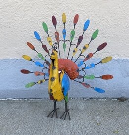 Peacock - Large - Curbside Pick Up Only!