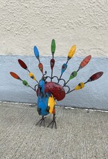Peacock - Small - Curbside pickup only!