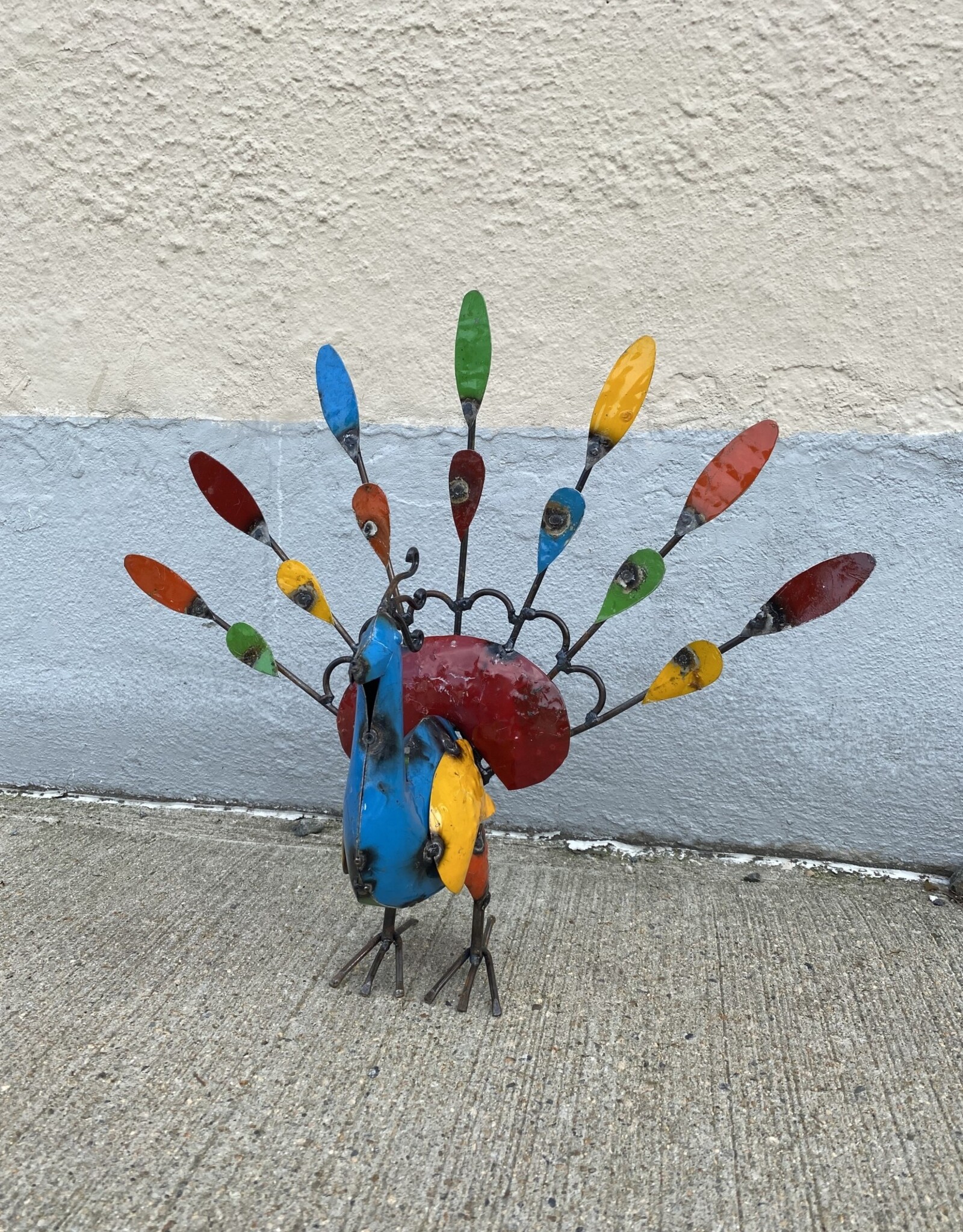 Peacock - Small - Curbside pickup only!