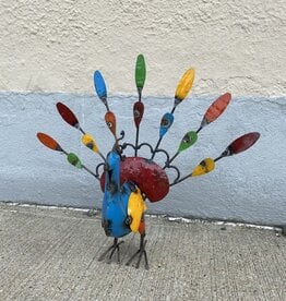 Peacock - Small - Curbside pickup only!