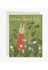 Welcome Sweet Baby Bunny Greeting Card