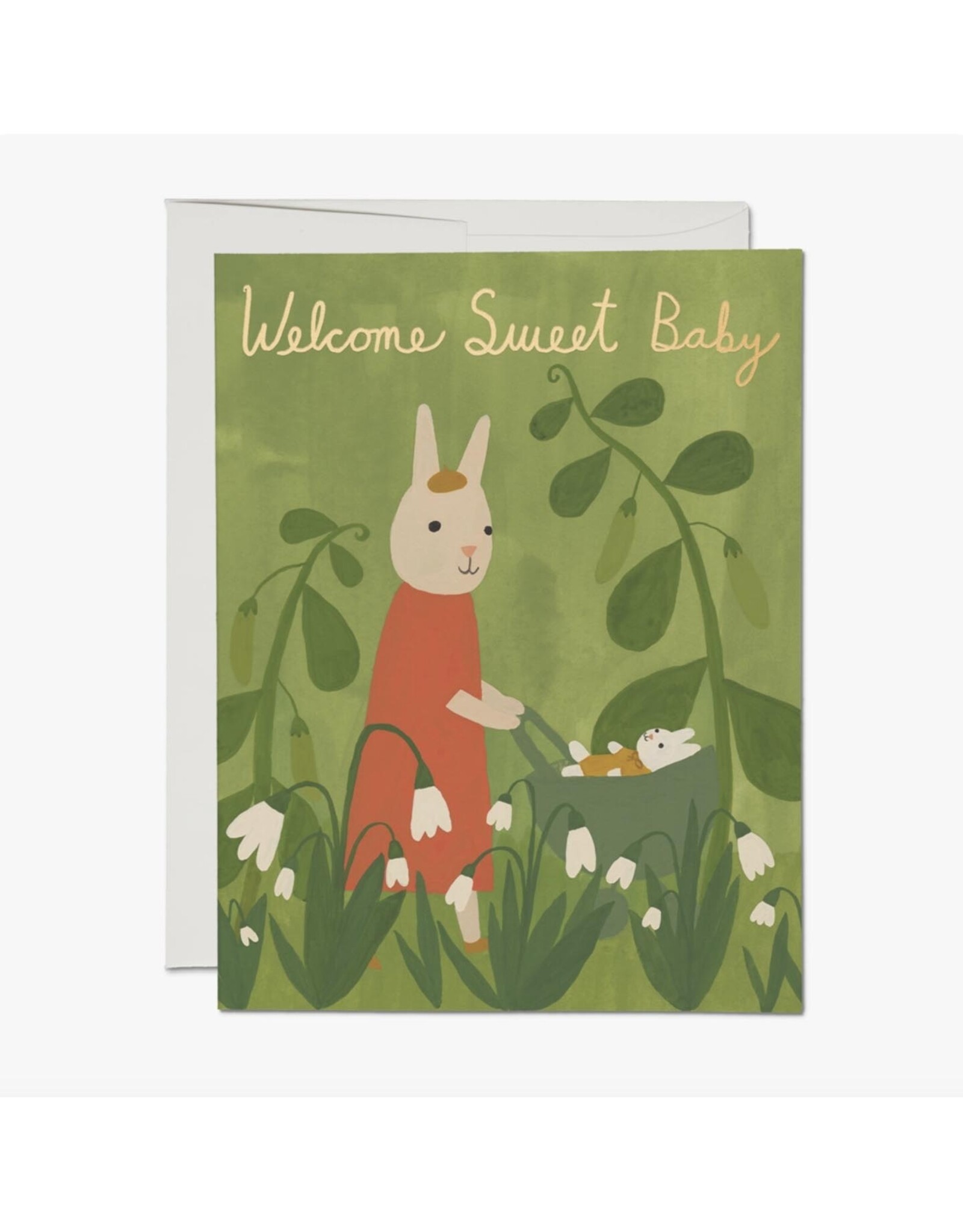 Welcome Sweet Baby Bunny Greeting Card