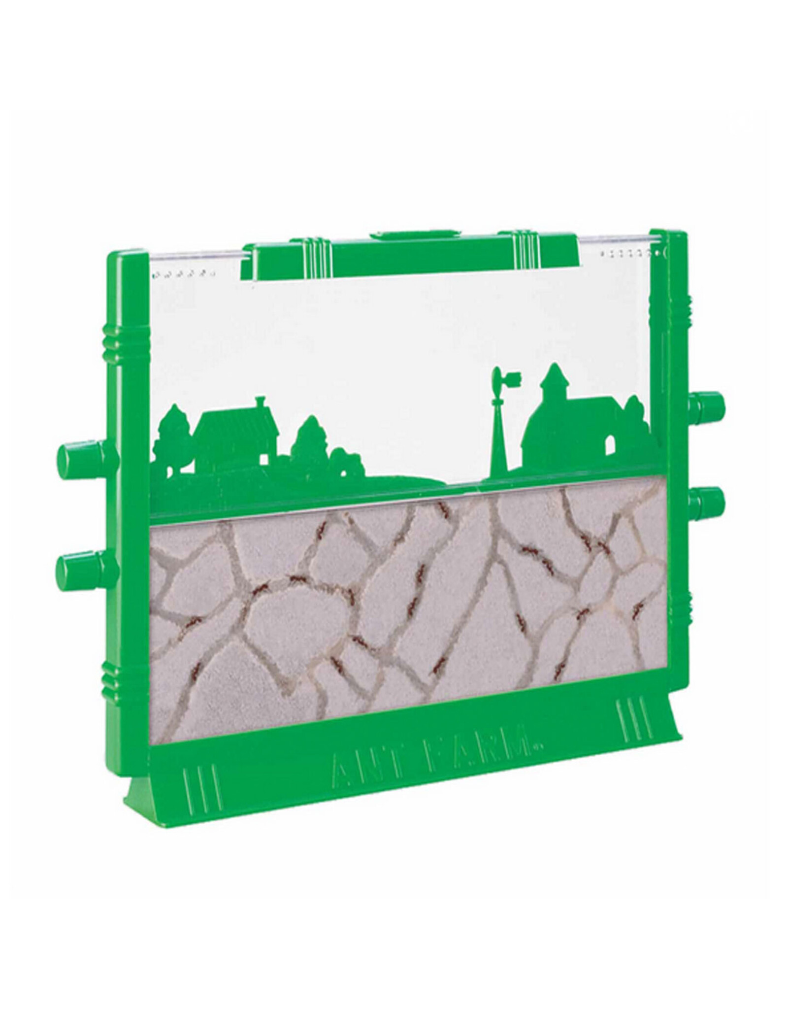 Retro Ant Farm