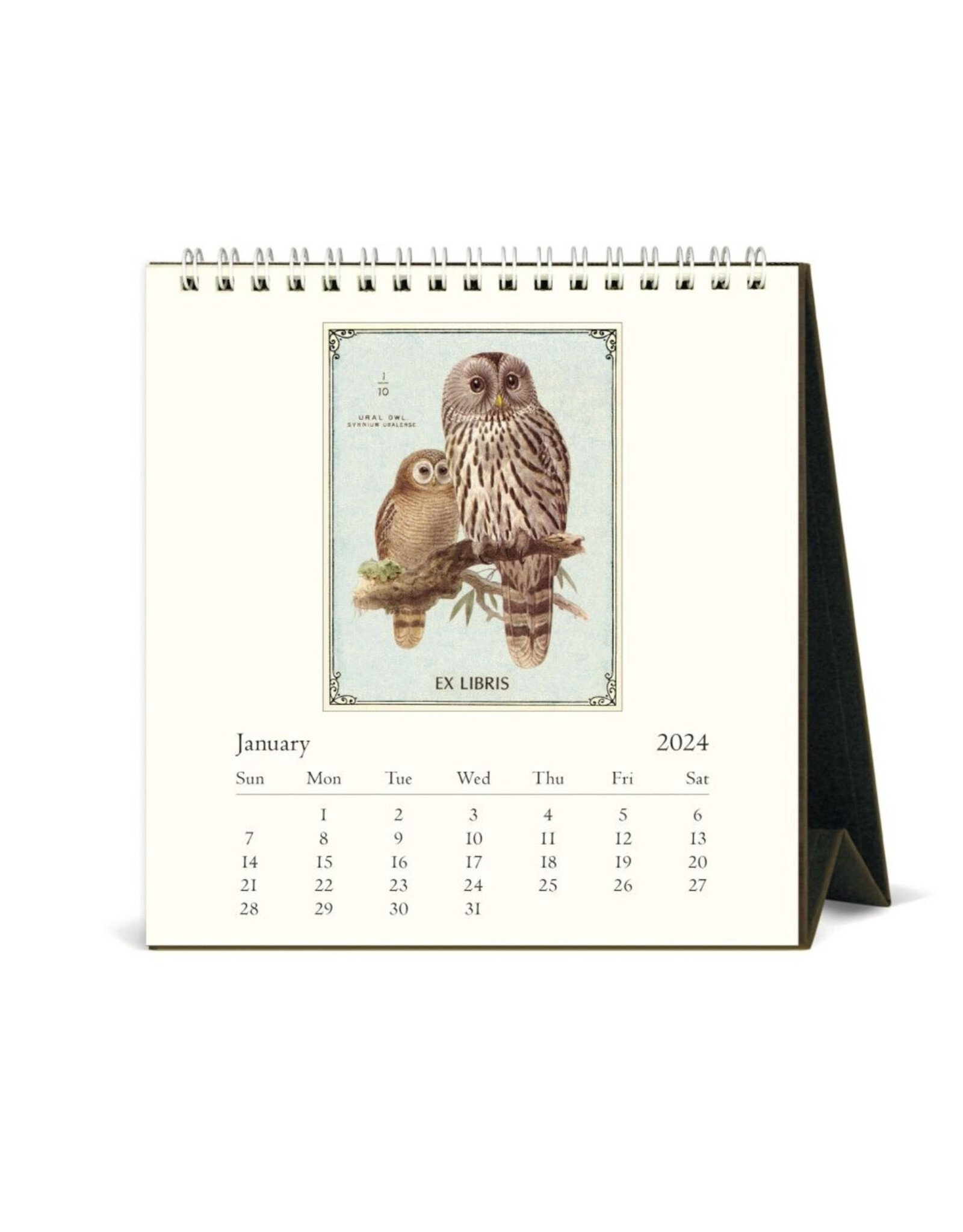 2024 Desk Calendar Vintage Owls Home