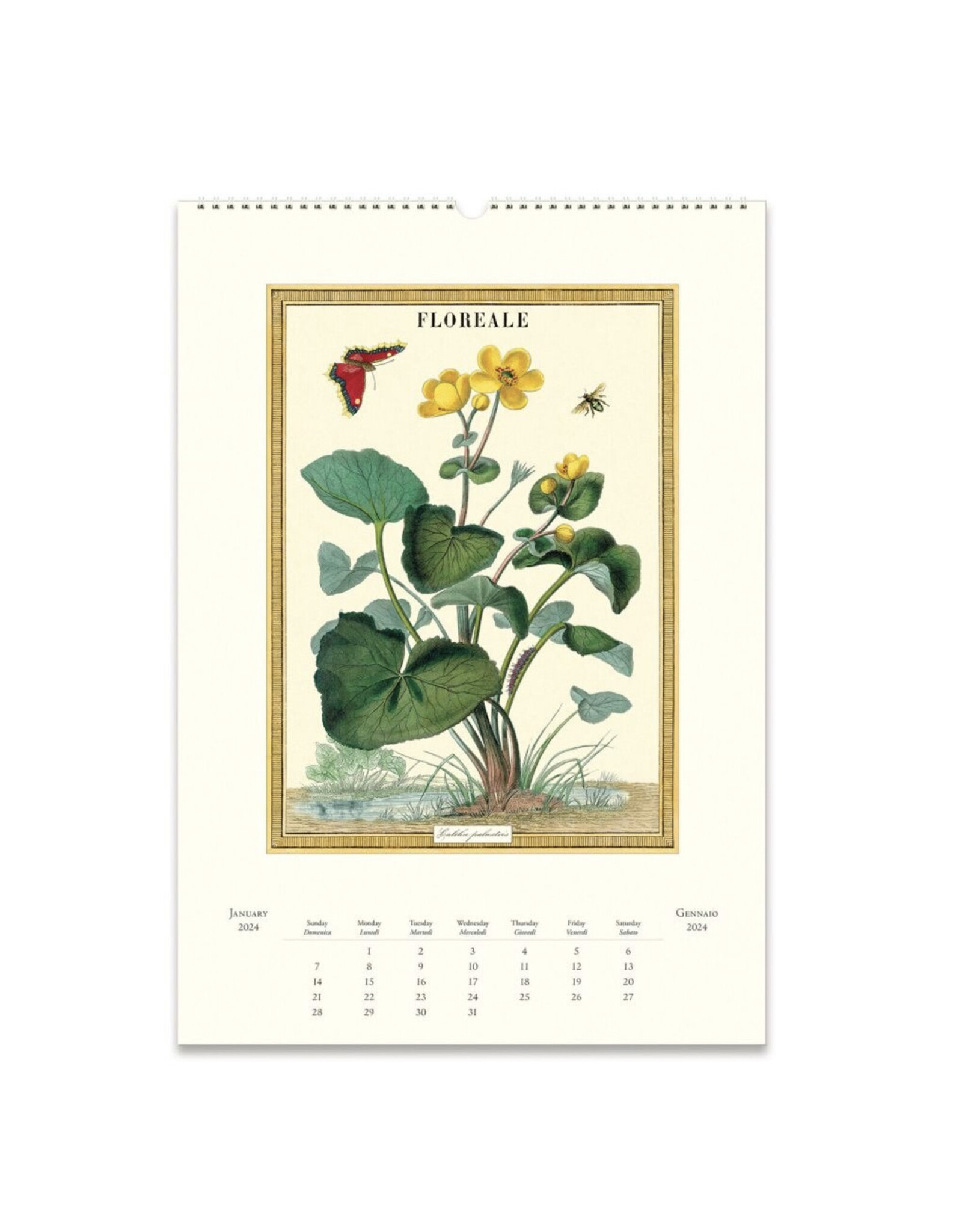 2024 Wall Calendar : Floreale
