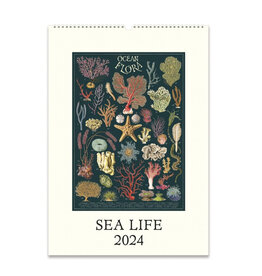 2024 Wall Calendar : Sea Life