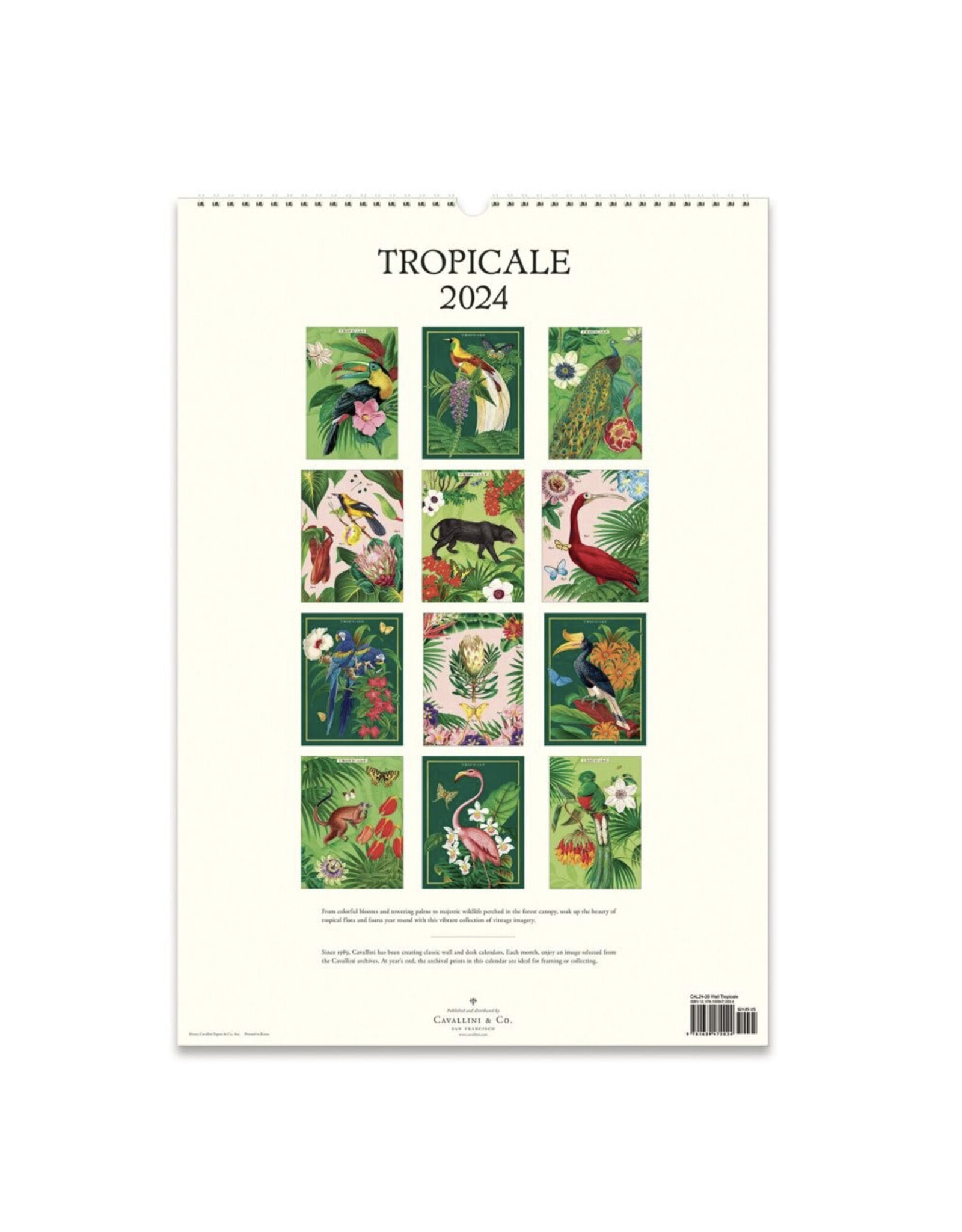 cavallini 2024 Tarot Desk Calendar