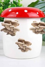 Mushroom Grow Kit