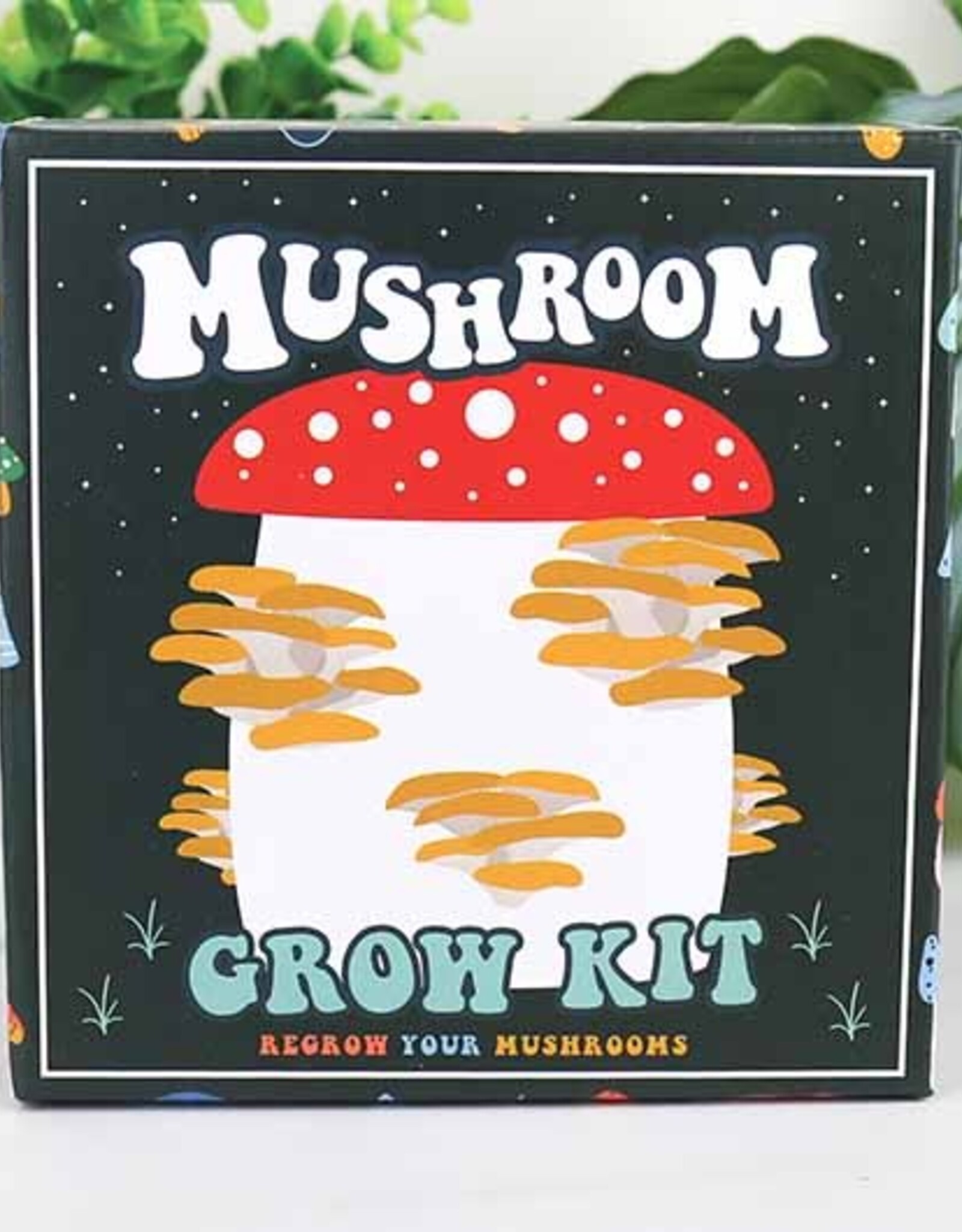 Mushroom Grow Kit