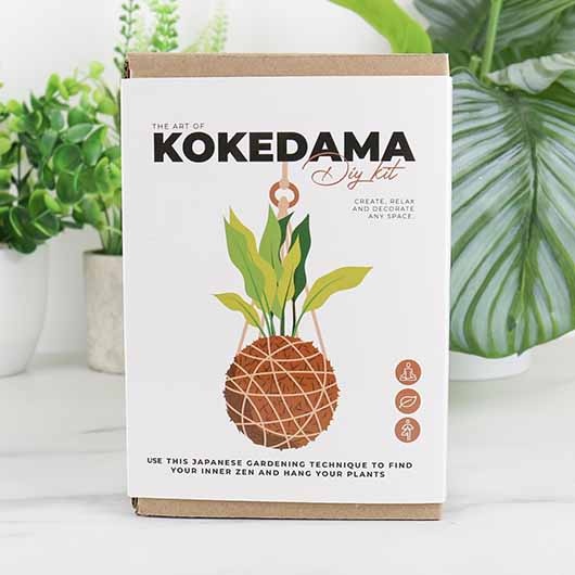 Kokedama Kit — Collage with Nature