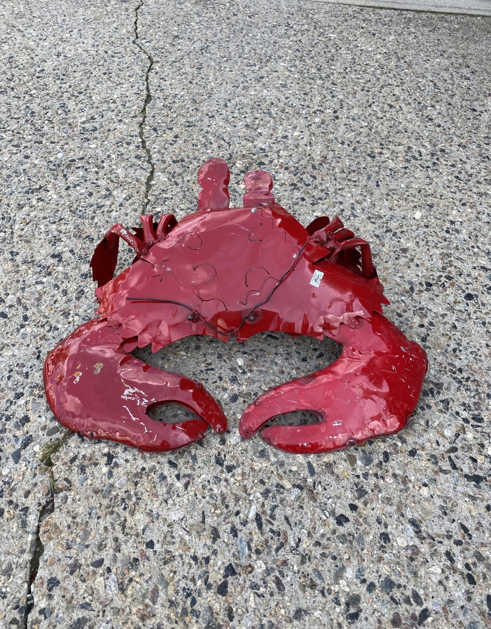 Flat Crab - Medium - Curbside Pick Up Only!