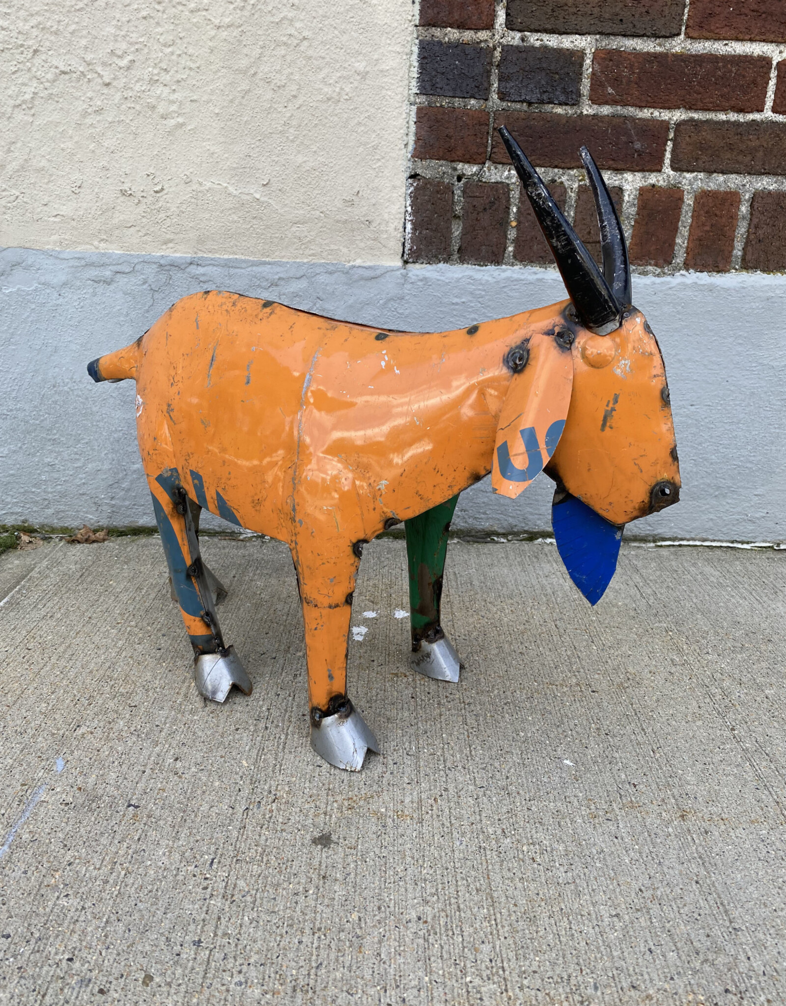 Goat - Medium - CURBSIDE PICK UP ONLY