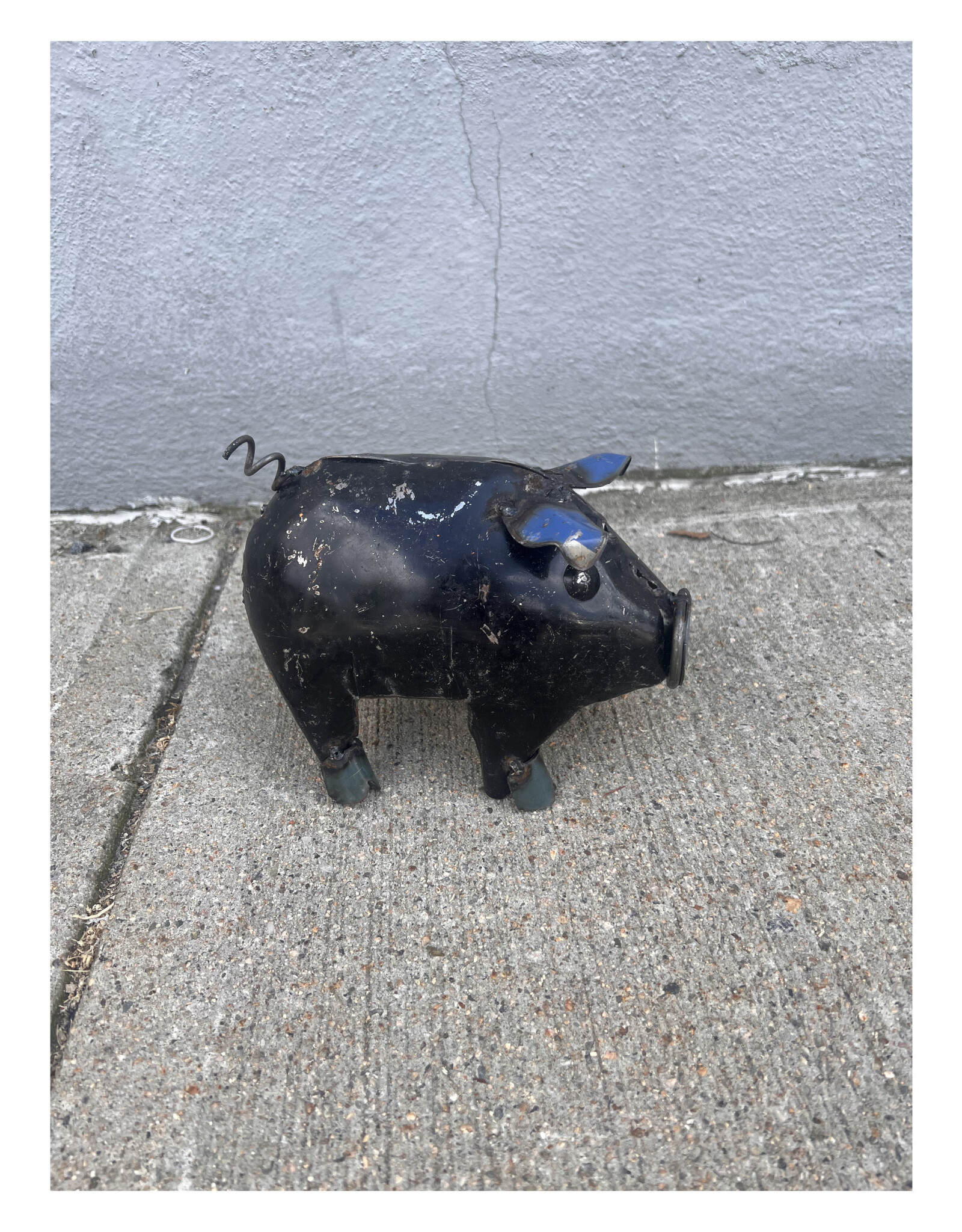 Mini Pig