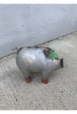 Mini Pig