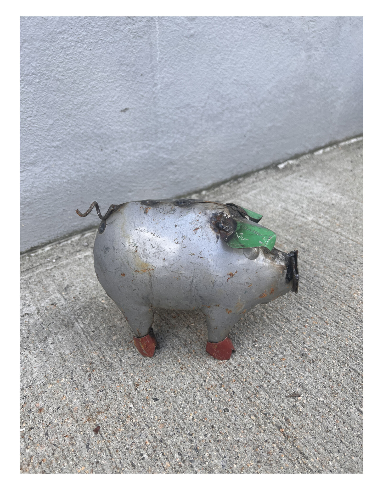 Mini Pig
