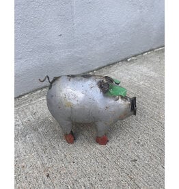 Mini Pig