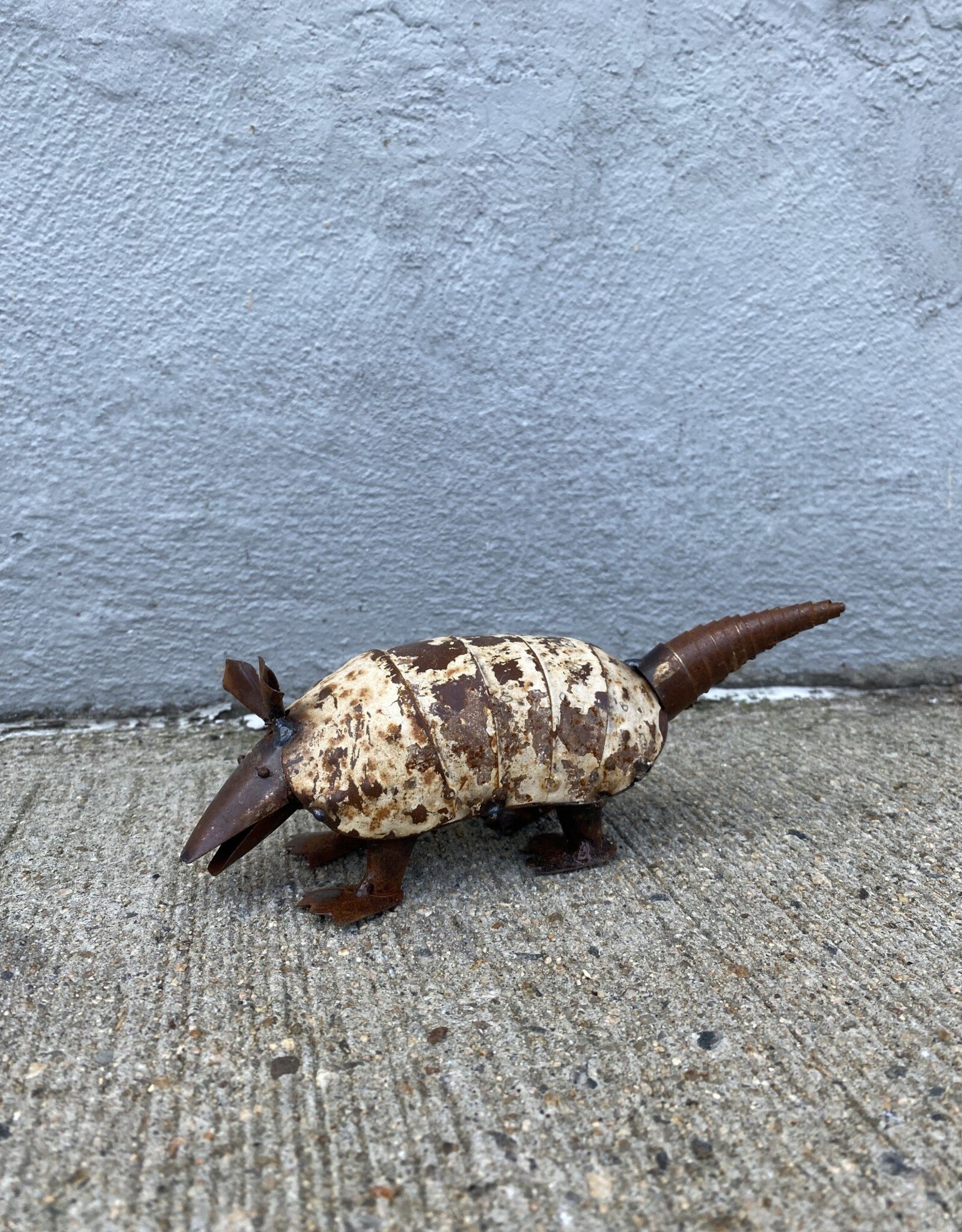 Armadillo - Small