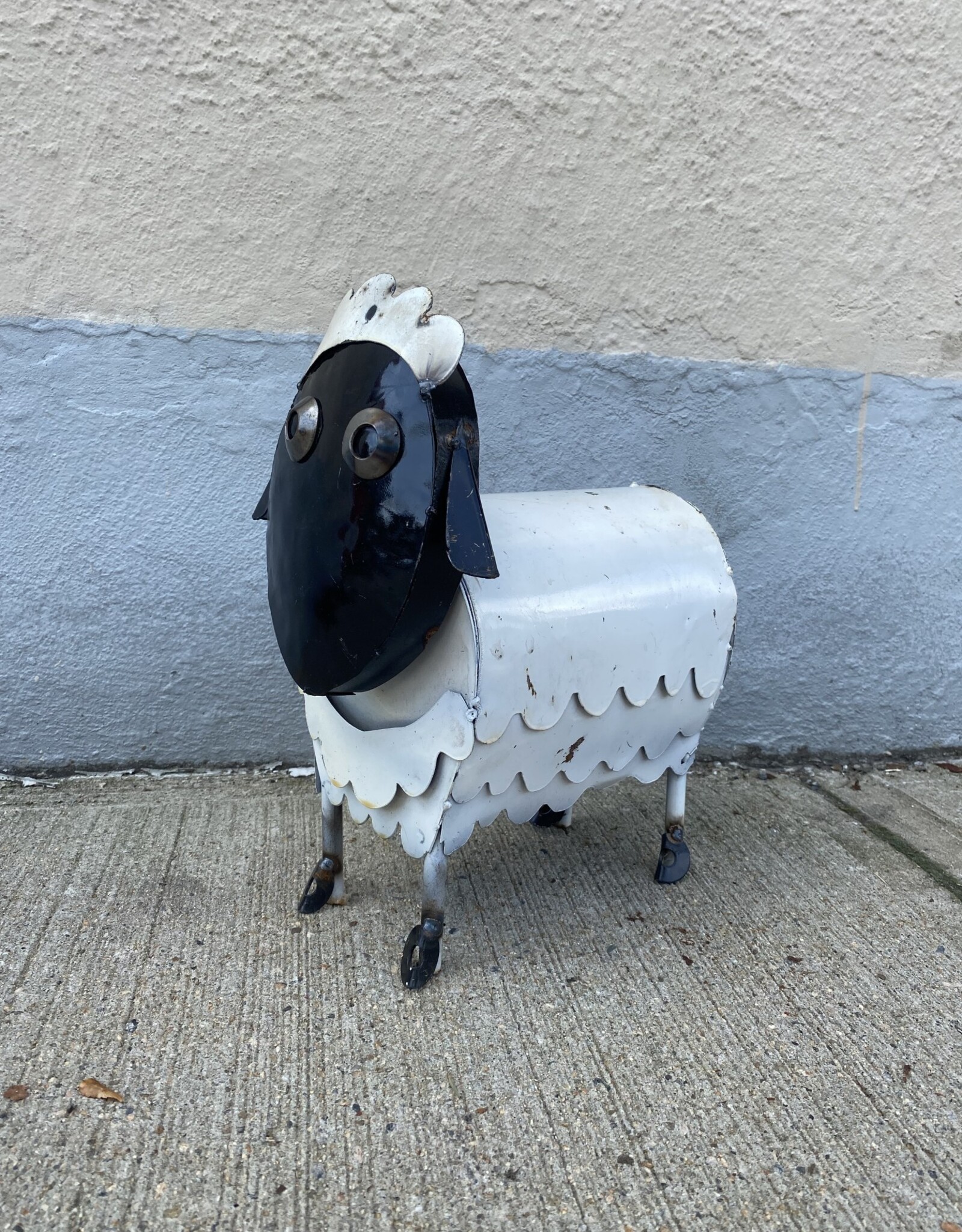 Cartoon Sheep - Medium - Curbside Pick Up Only!
