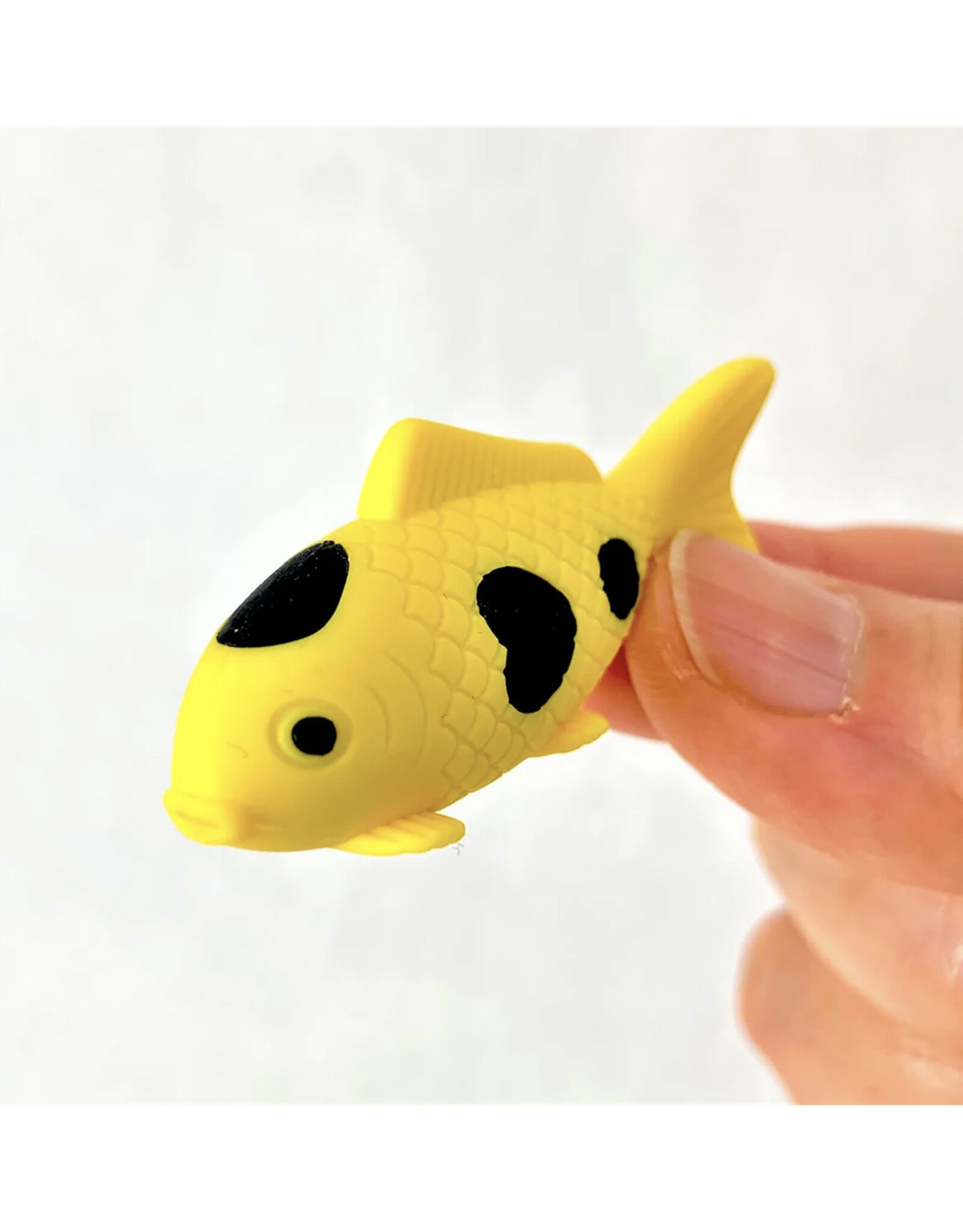 Iwako Koi Eraser (Assorted)