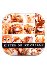 Kittens or Ice Cream Coaster