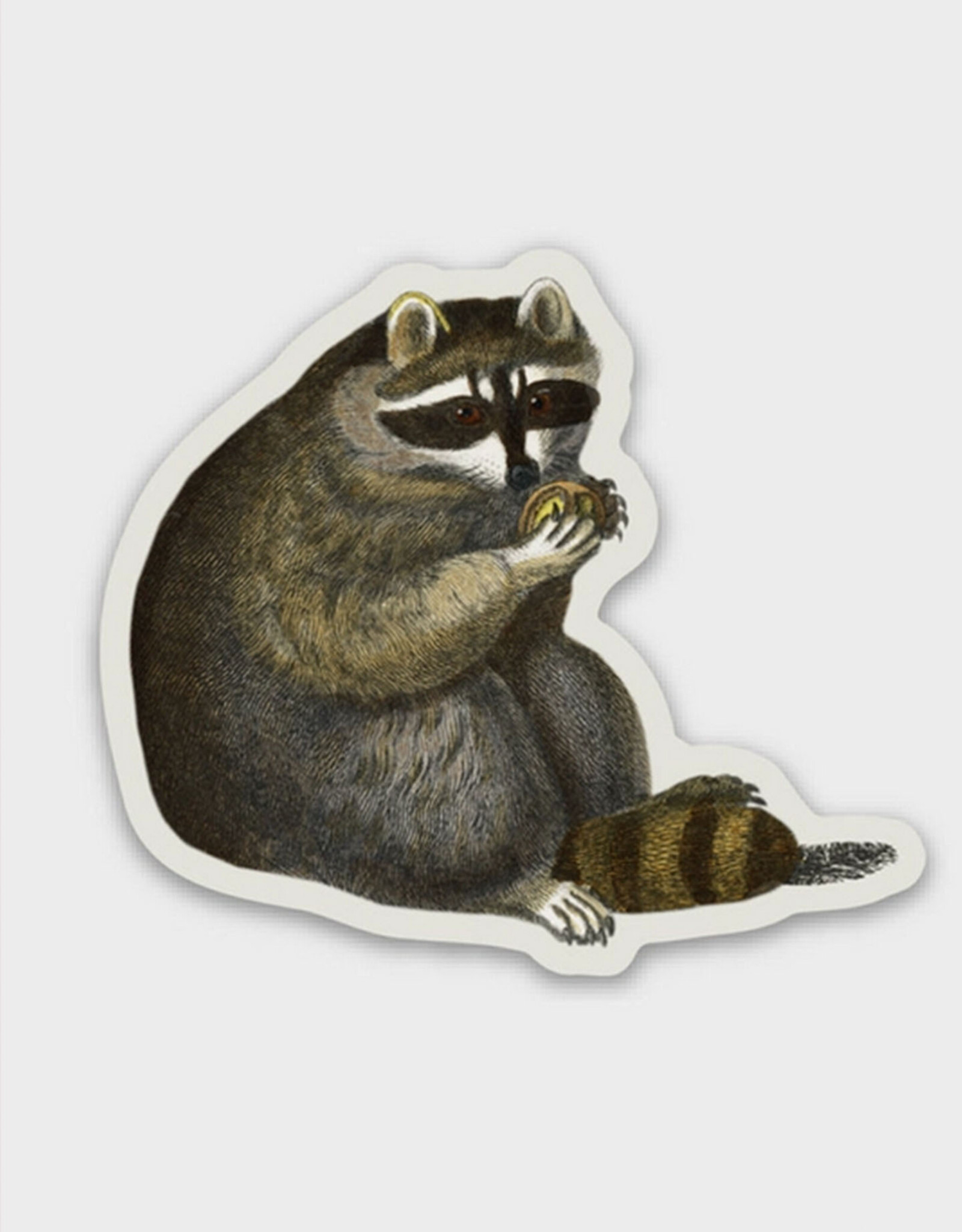 Unbothered Raccoon - Gap Filler Sticker