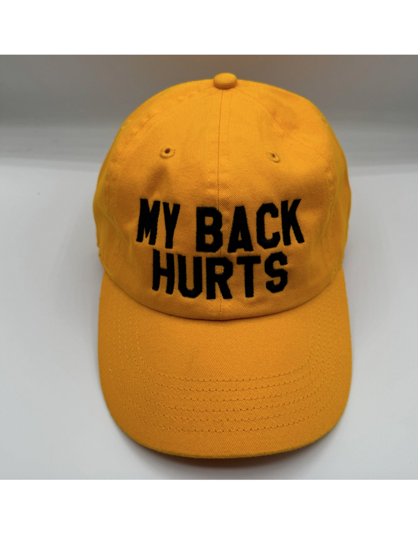 My Back Hurts Dad Hat