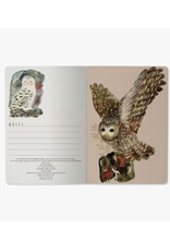 Owls Notebook