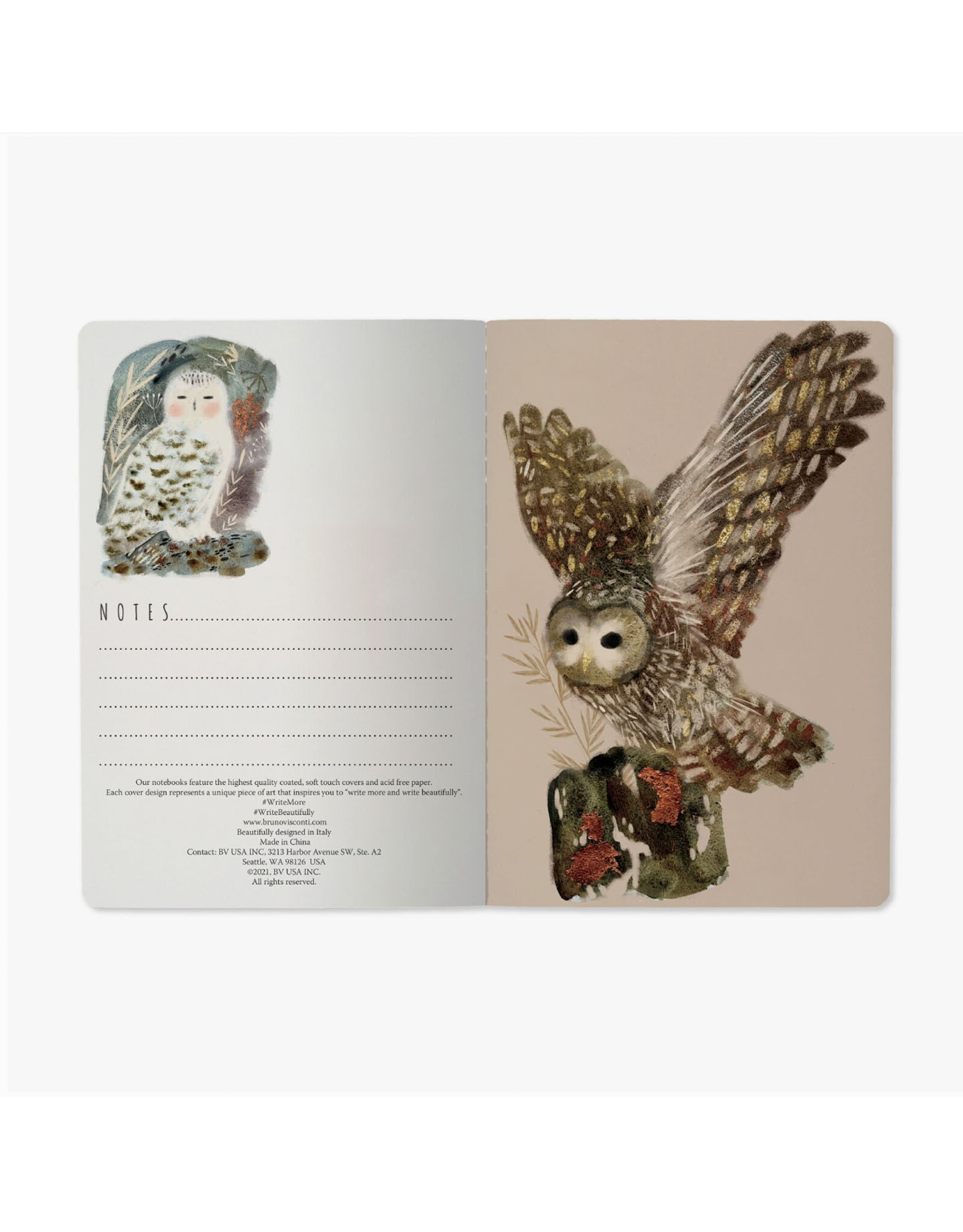 Owls Notebook