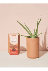 Terra Cotta Kit - Aloe Terra Cotta Kit - Aloe