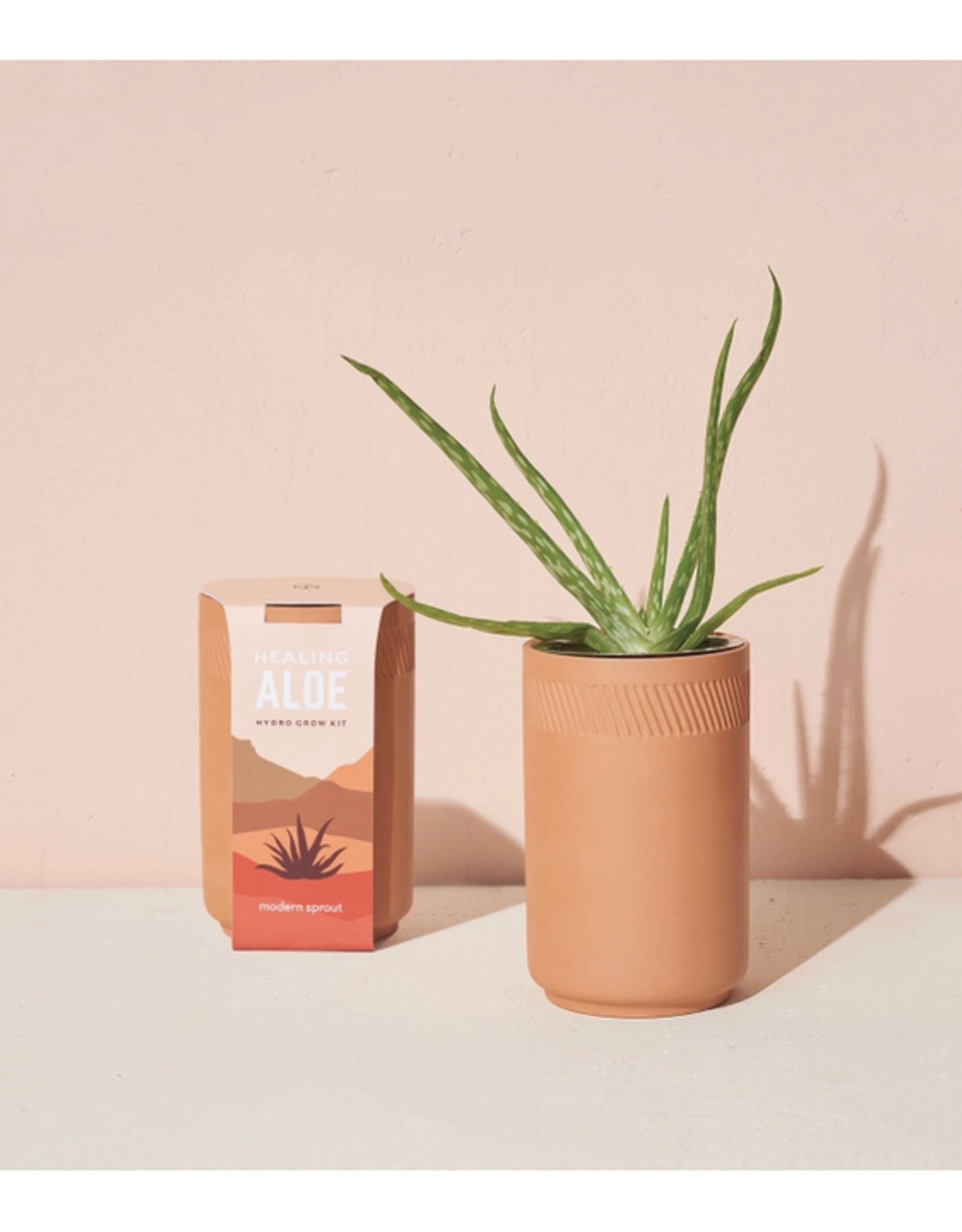 Terra Cotta Kit - Aloe