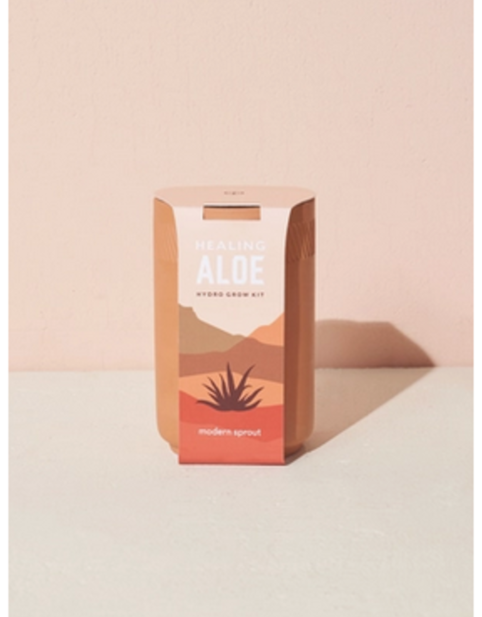 Terra Cotta Kit - Aloe