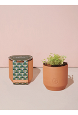 Tiny Terra Cotta - Good Luck Clover