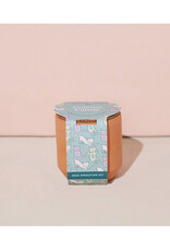 Tiny Terra Cotta - Curious Catnip
