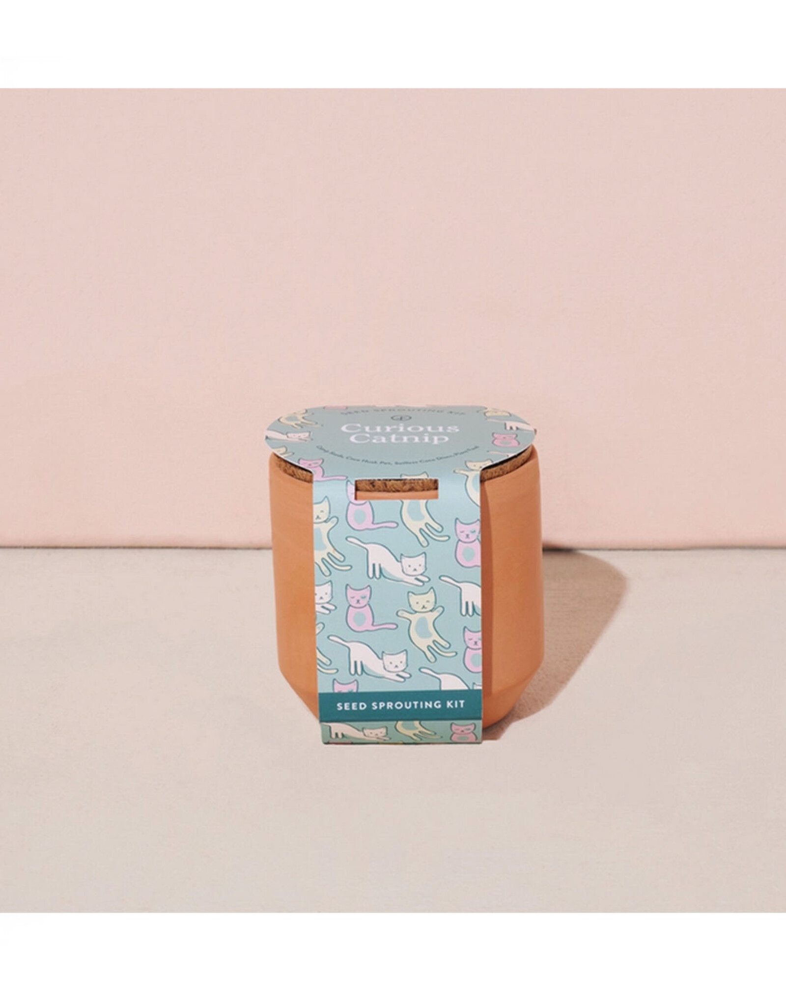 Tiny Terra Cotta - Curious Catnip