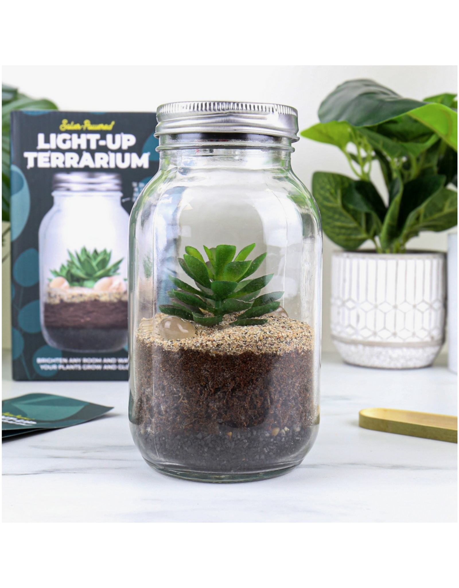 Light Up Terrarium Solar Light