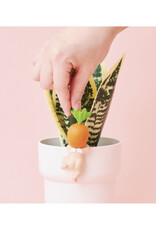 Sonny Angel Harvest Hippers Blind Box