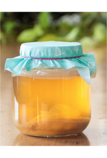 Kombucha Making Kit