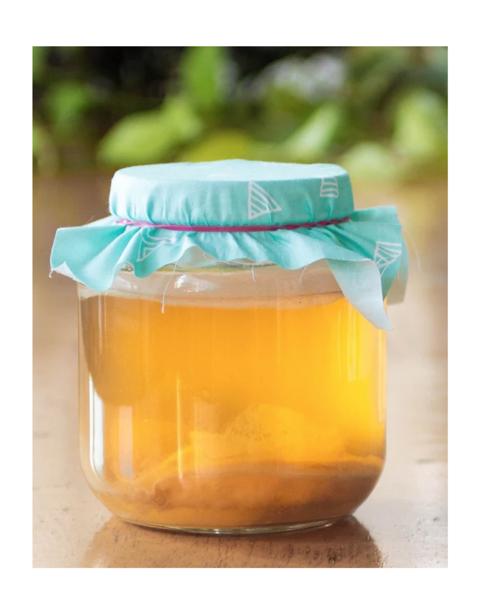 Kombucha Making Kit