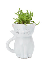 Sweetie Cat Planter