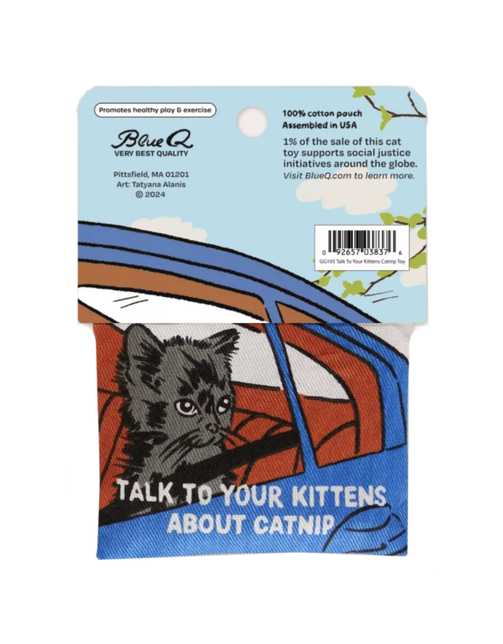 Talk to Your Kittens About Catnip Toy