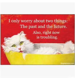 Only Worry About Two Things: Past and Future Magnet