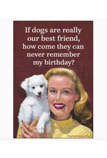 Dogs Never Remember My Birthday? Magnet