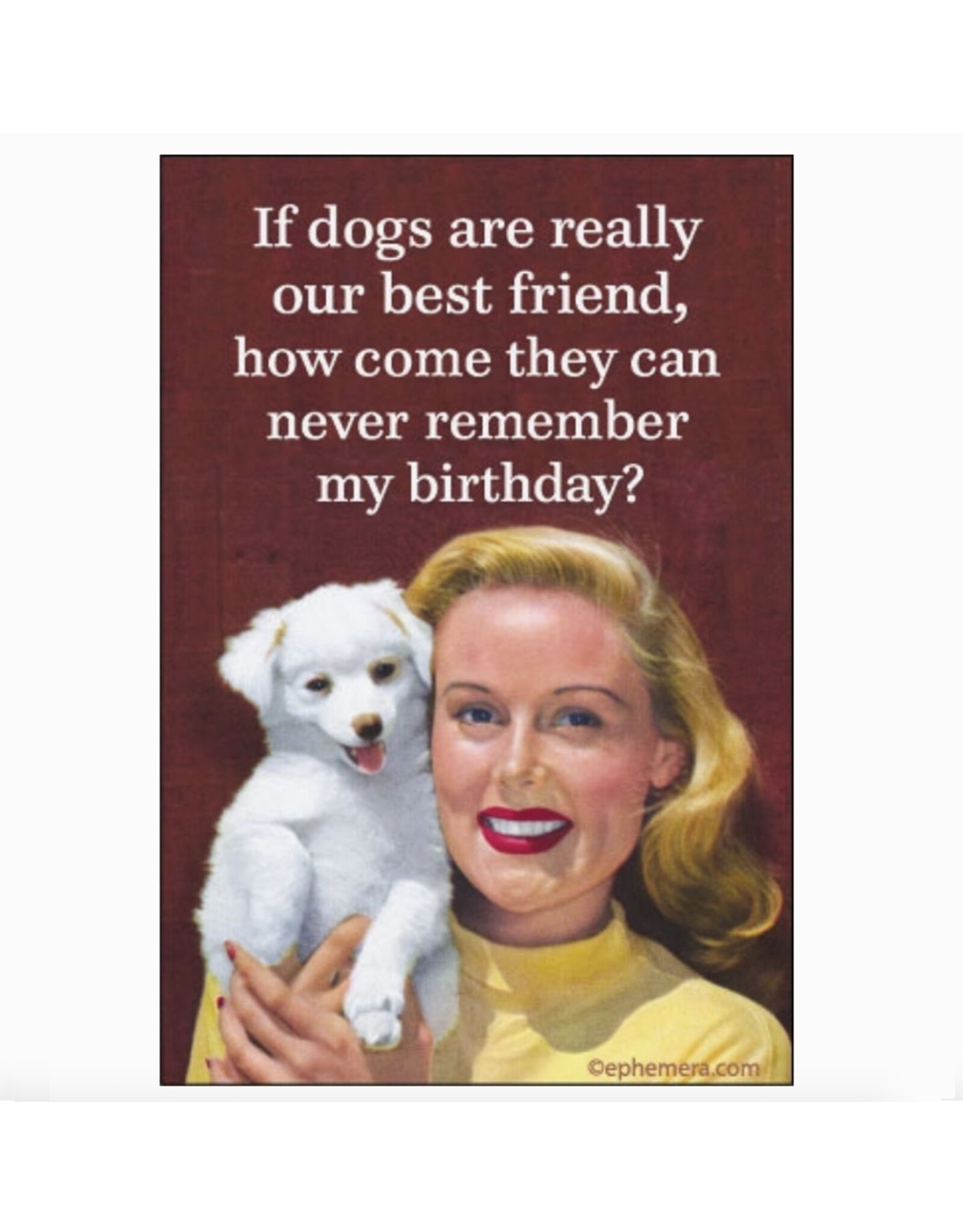 Dogs Never Remember My Birthday? Magnet