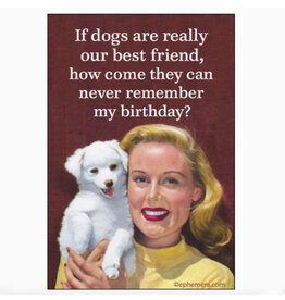 Dogs Never Remember My Birthday? Magnet