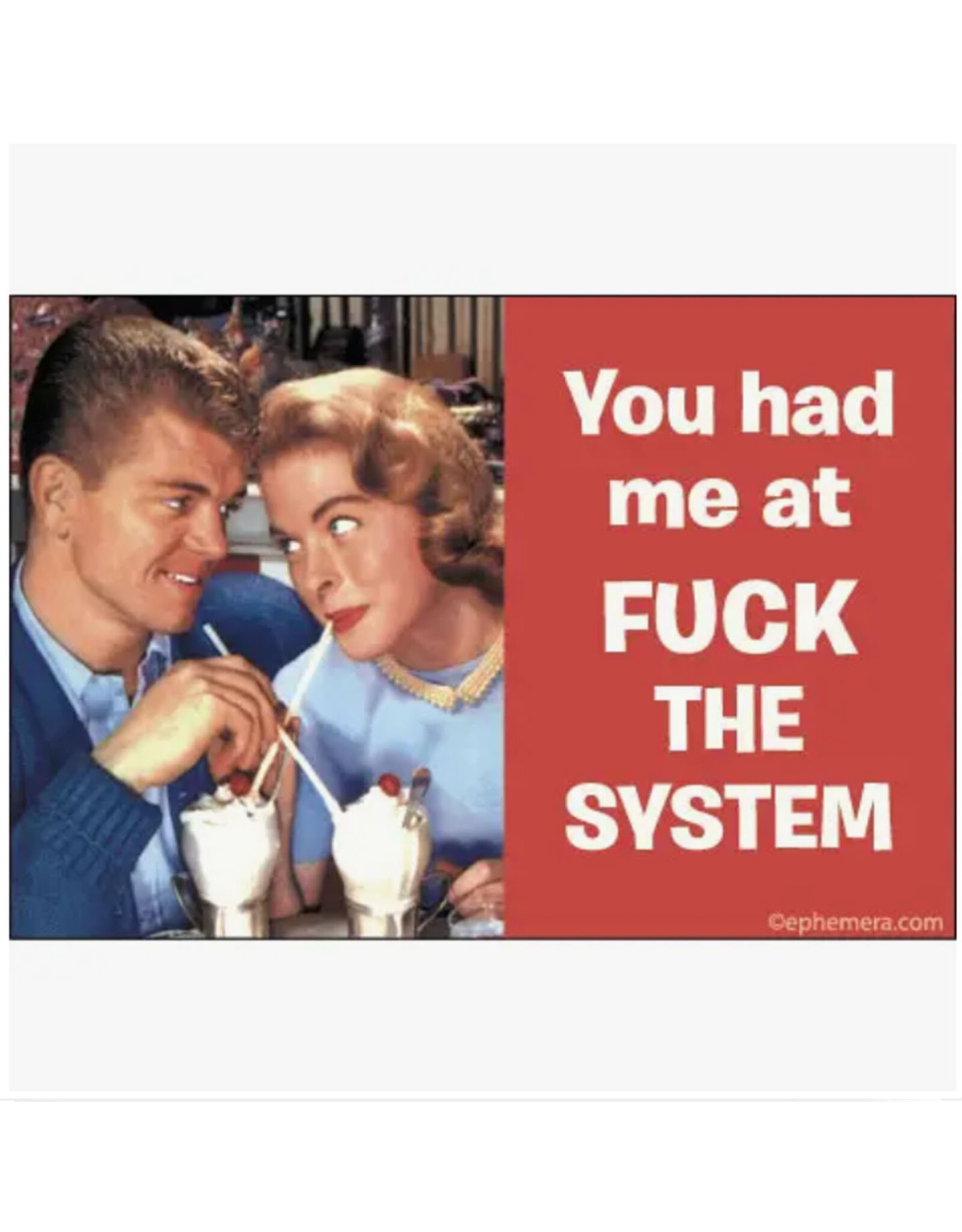 You Had Me at Fuck the System Magnet